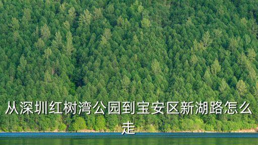 從深圳紅樹灣公園到寶安區新湖路怎么走
