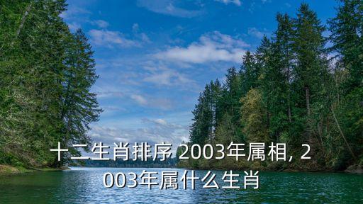 2003年屬什么