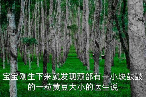 寶寶剛生下來(lái)就發(fā)現(xiàn)頸部有一小塊鼓鼓的一粒黃豆大小的醫(yī)生說(shuō)
