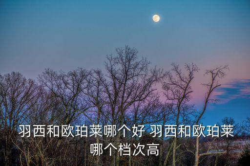 羽西護膚品怎么樣