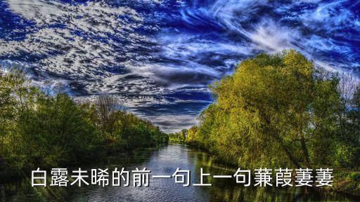  白露未晞的前一句上一句蒹葭萋萋