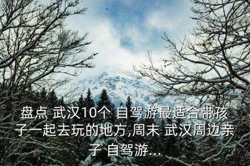 武漢自駕游,武漢著名景區黃鶴樓登上觀光車可鳥瞰武漢三鎮風光