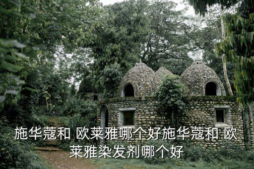 施華蔻和 歐萊雅哪個(gè)好施華蔻和 歐萊雅染發(fā)劑哪個(gè)好