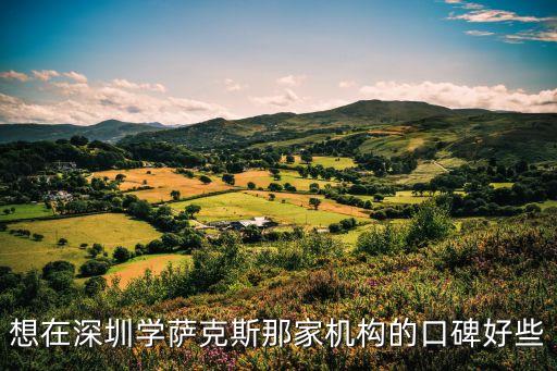 深圳薩克斯家教，深圳有一對一薩克斯教學的機構嗎