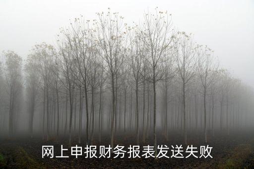 深圳申報無法發送報表，網上申報財務報表發送失敗