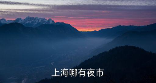 上海哪有夜市