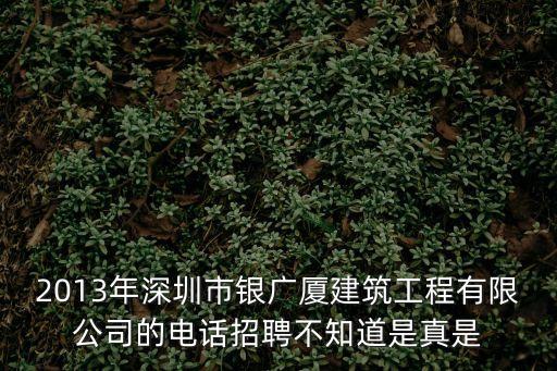 深圳銀廣廈集團有限公司上市了么，深圳上市公司有哪些