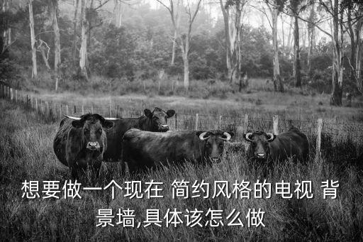 想要做一個(gè)現(xiàn)在 簡(jiǎn)約風(fēng)格的電視 背景墻,具體該怎么做