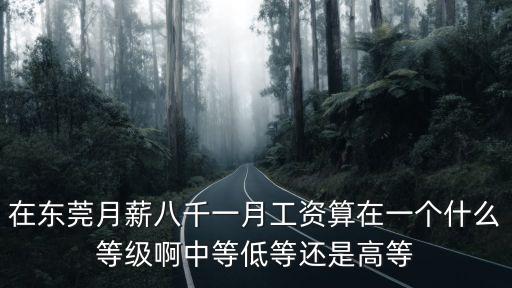 在東莞月薪八千一月工資算在一個什么等級啊中等低等還是高等