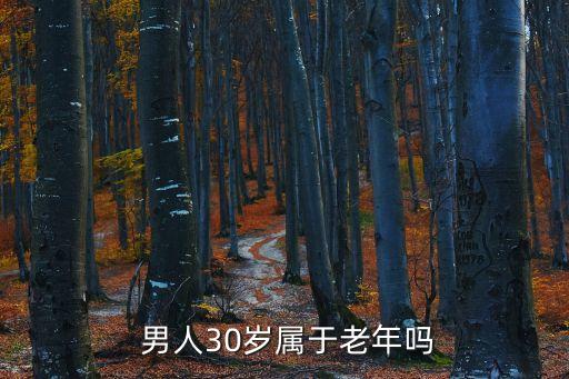 三十歲男人