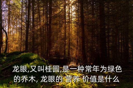 龍眼的營養(yǎng)價(jià)值,新鮮龍眼的營養(yǎng)價(jià)值
