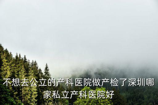 不想去公立的產(chǎn)科醫(yī)院做產(chǎn)檢了深圳哪家私立產(chǎn)科醫(yī)院好