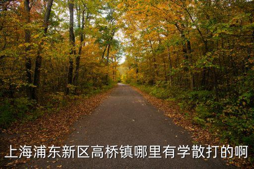 上海市浦東新區(qū)高橋鎮(zhèn)小學 首頁，請告訴我上海市浦東新區(qū)東方小學的網(wǎng)站