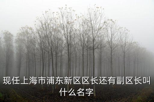 現(xiàn)任上海市浦東新區(qū)區(qū)長(zhǎng)還有副區(qū)長(zhǎng)叫什么名字
