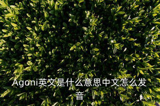 agoni是什么意思,Agoni是什么意思英語