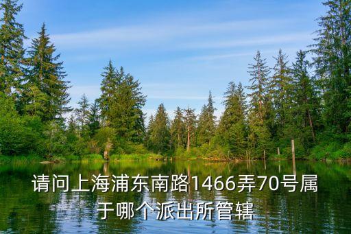 上海市濰坊新村九村派出所地址，上海市浦東區濰坊路328號屬于哪個派出所管轄