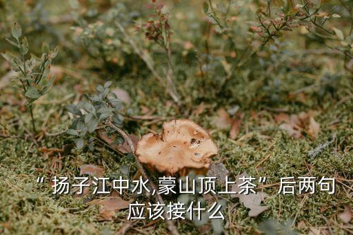“ 揚子江中水,蒙山頂上茶”后兩句應該接什么