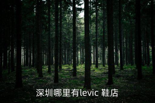 深圳哪里有levic 鞋店