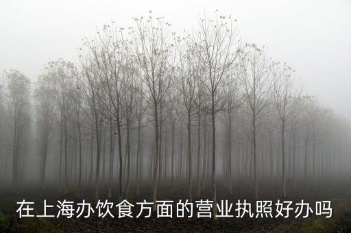 上海市餐飲營業執照好辦理嗎，在上海開飯店營業執照好辦理嗎需要辦理那些證件我打算接手一家