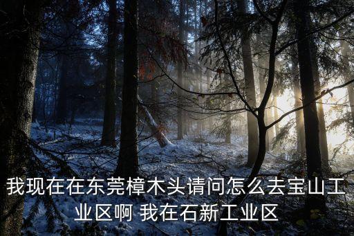 廣東省東莞樟木頭寶山工業區，東莞樟木頭寶山工業區怎么走