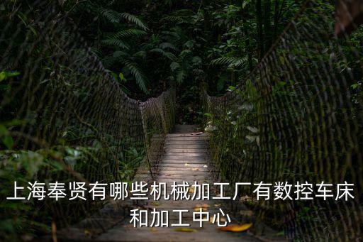 上海市奉賢區重工企業名錄，上海市奉賢區有那些模具廠