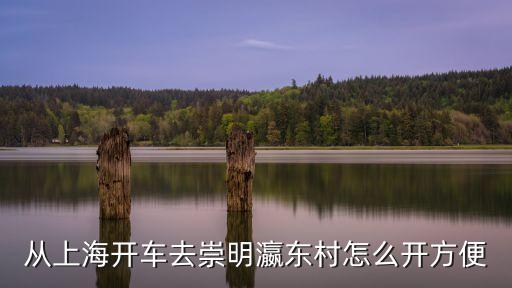 上海市陳家鎮瀛東村村委會，從浦東到崇明瀛東村怎么坐車