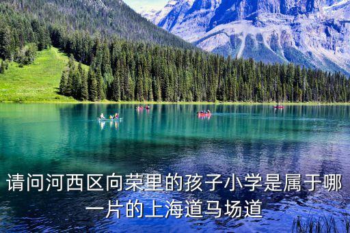 請問河西區向榮里的孩子小學是屬于哪一片的上海道馬場道