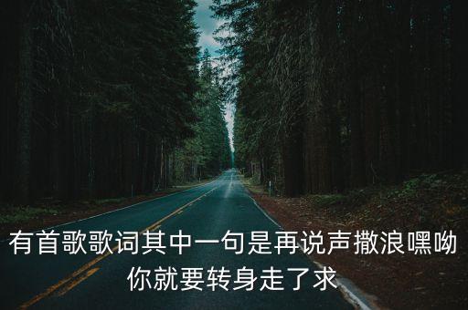 有首歌歌詞其中一句是再說聲撒浪嘿呦你就要轉身走了求