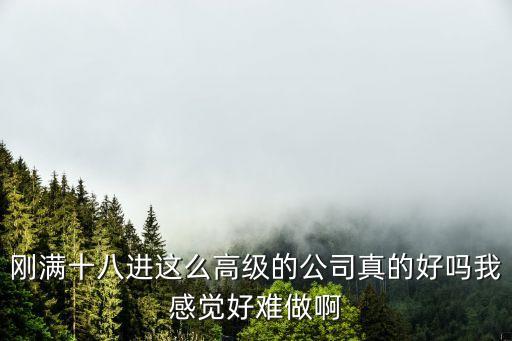 深圳歐菲光科技有限公司招聘信息，剛滿十八進這么高級的公司真的好嗎我感覺好難做啊