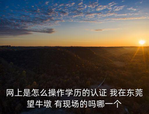 網上是怎么操作學歷的認證 我在東莞望牛墩 有現場的嗎哪一個