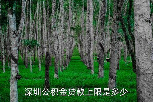 深圳公積金貸款上限是多少