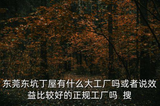 東莞東坑丁屋有什么大工廠嗎或者說效益比較好的正規工廠嗎  搜