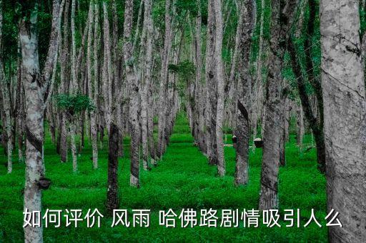 如何評價 風雨 哈佛路劇情吸引人么