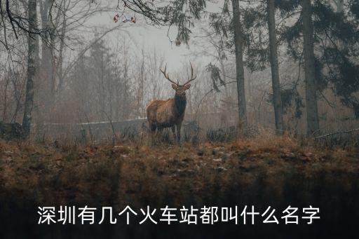 深圳有幾個火車站都叫什么名字