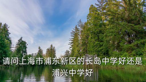 上海市長(zhǎng)島中學(xué) 評(píng)論，請(qǐng)問(wèn)上海市浦東新區(qū)的長(zhǎng)島中學(xué)好還是浦興中學(xué)好