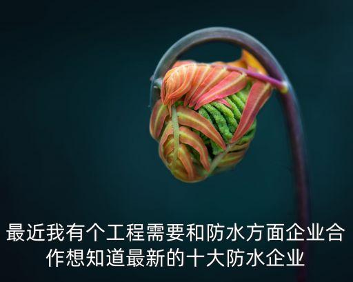 深圳卓寶防水招聘防水工，卓寶防水怎么樣