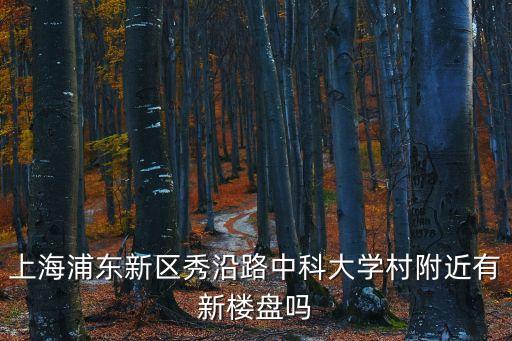 上海浦東新區秀沿路中科大學村附近有新樓盤嗎