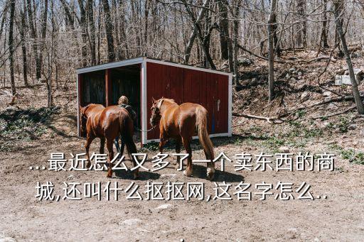 ...最近怎么又多了一個賣東西的商城,還叫什么摳摳網,這名字怎么...