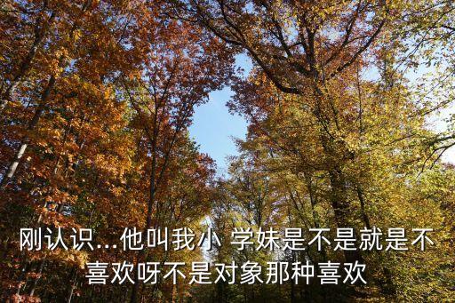 我的學(xué)妹,這是我的學(xué)妹