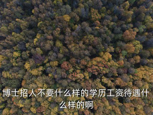 博士招人不要什么樣的學歷工資待遇什么樣的啊