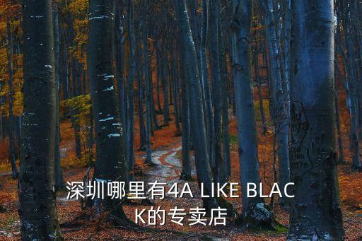 深圳哪里有4A LIKE BLACK的專賣店