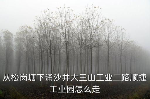 從松崗塘下涌沙井大王山工業二路順捷工業園怎么走