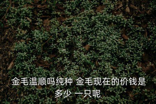 金毛犬多少錢一只,金毛犬多少錢一只?普通金毛價格在800元左右