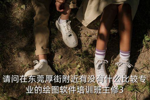 請問在東莞厚街附近有沒有什么比較專業的繪圖軟件培訓班主修3