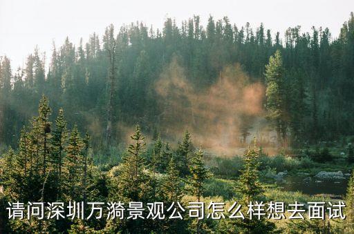 請問深圳萬漪景觀公司怎么樣想去面試