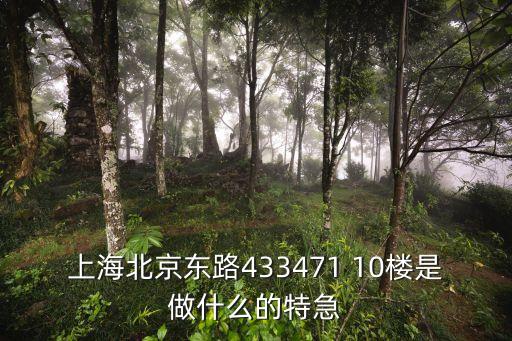 上海北京東路433471 10樓是做什么的特急