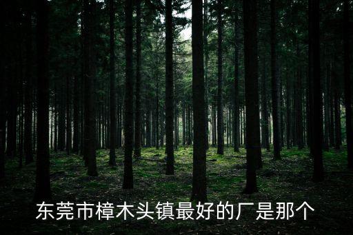 東莞市樟木頭鎮最好的廠是那個