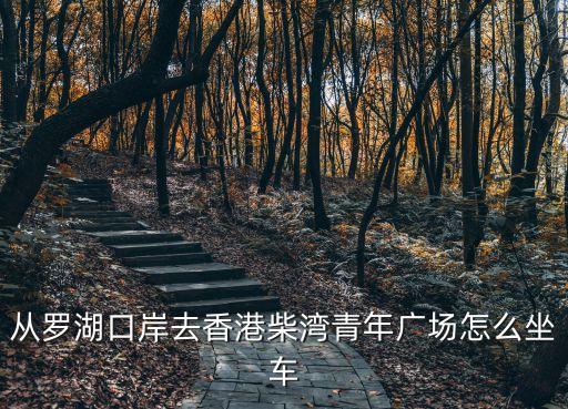 從羅湖口岸去香港柴灣青年廣場怎么坐車