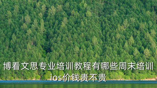 博看文思專業培訓教程有哪些周末培訓ios價錢貴不貴