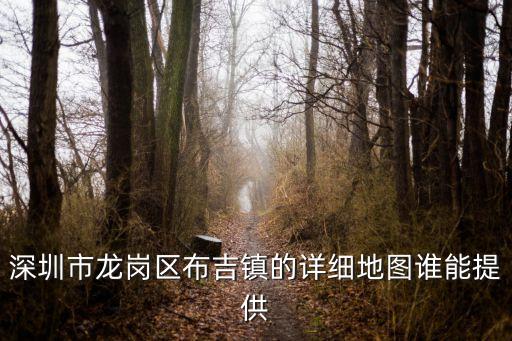 深圳市龍崗區(qū)布吉鎮(zhèn)的詳細(xì)地圖誰能提供